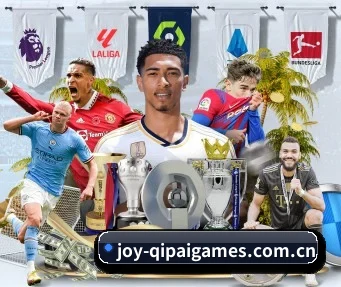joy-qipaigames.com.cn APP